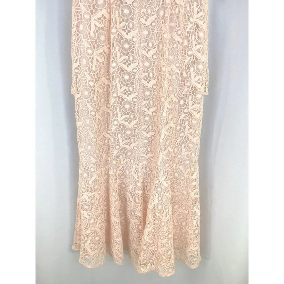 AMUR Pink Lace Hayden Midi Formal Dress $695 - Picture 12 of 15